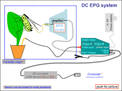 EPG八通道昆虫刺探电位测量系统