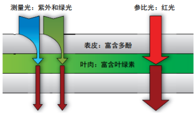 DUALEX SCIENTIFIC+植物氮平衡指数测量仪