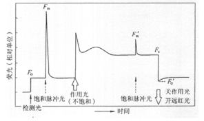 Handy PEA植物效率分析仪