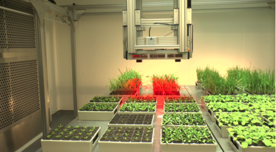PlantScreen高通量植物表型成像分析系统（XYZ三维成像版）