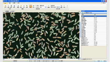 SC-E型大米外观品质检测分析仪