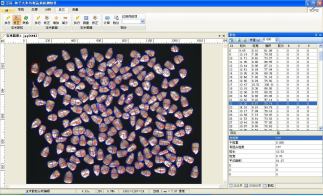 SC-G型自动考种及千粒重分析仪（含玉米果穗考种）