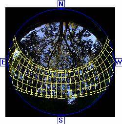 <strong><strong><strong>HemiView数字植物冠层分析系统</strong></strong></strong>