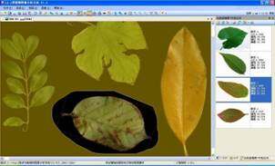 LA-S多功能植物图像分析系统