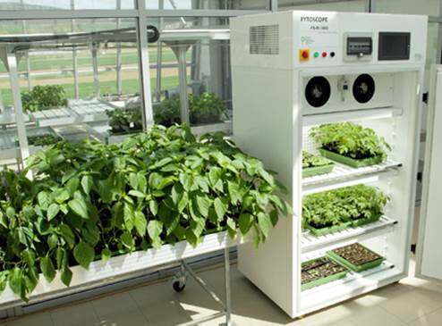 FytoScope FS-RI 1600中型植物生长室